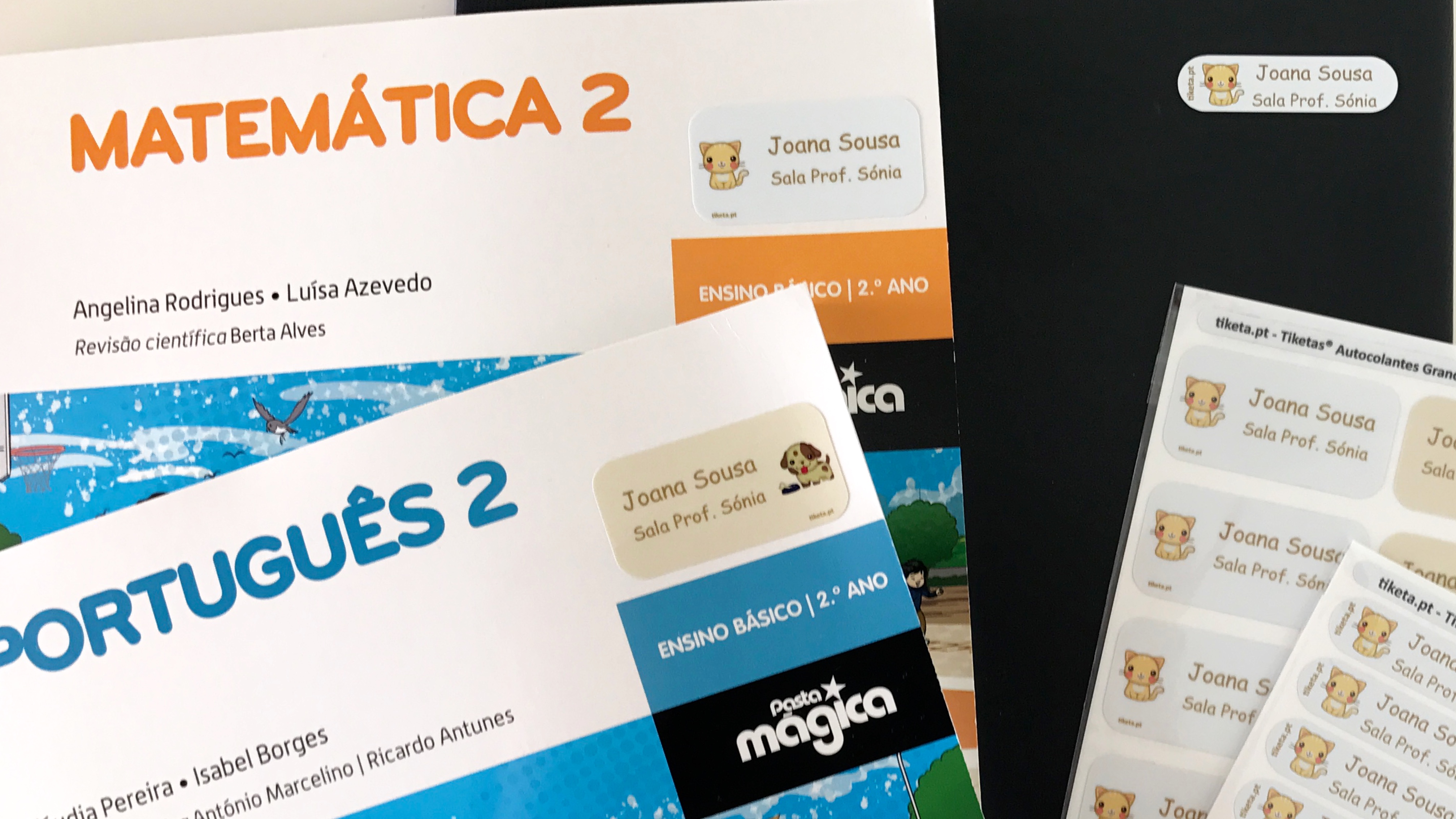manuais-escolares-proteger-organizar-identificar
